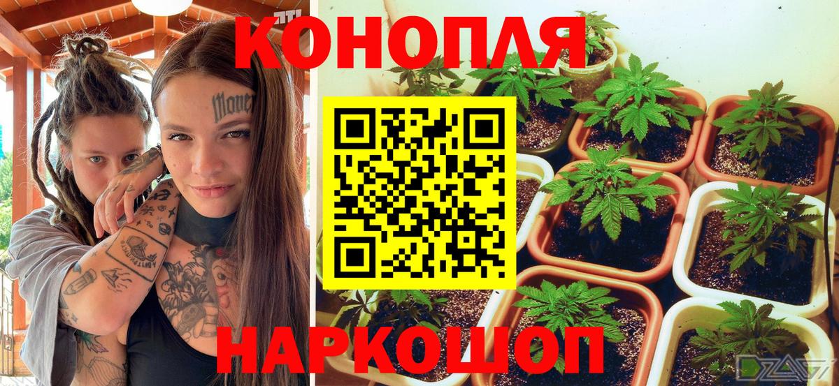 Марихуана Bruce Banner Лабинск